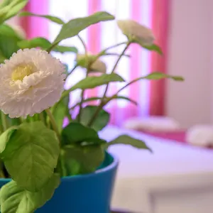  Apartament Housestation Włochy